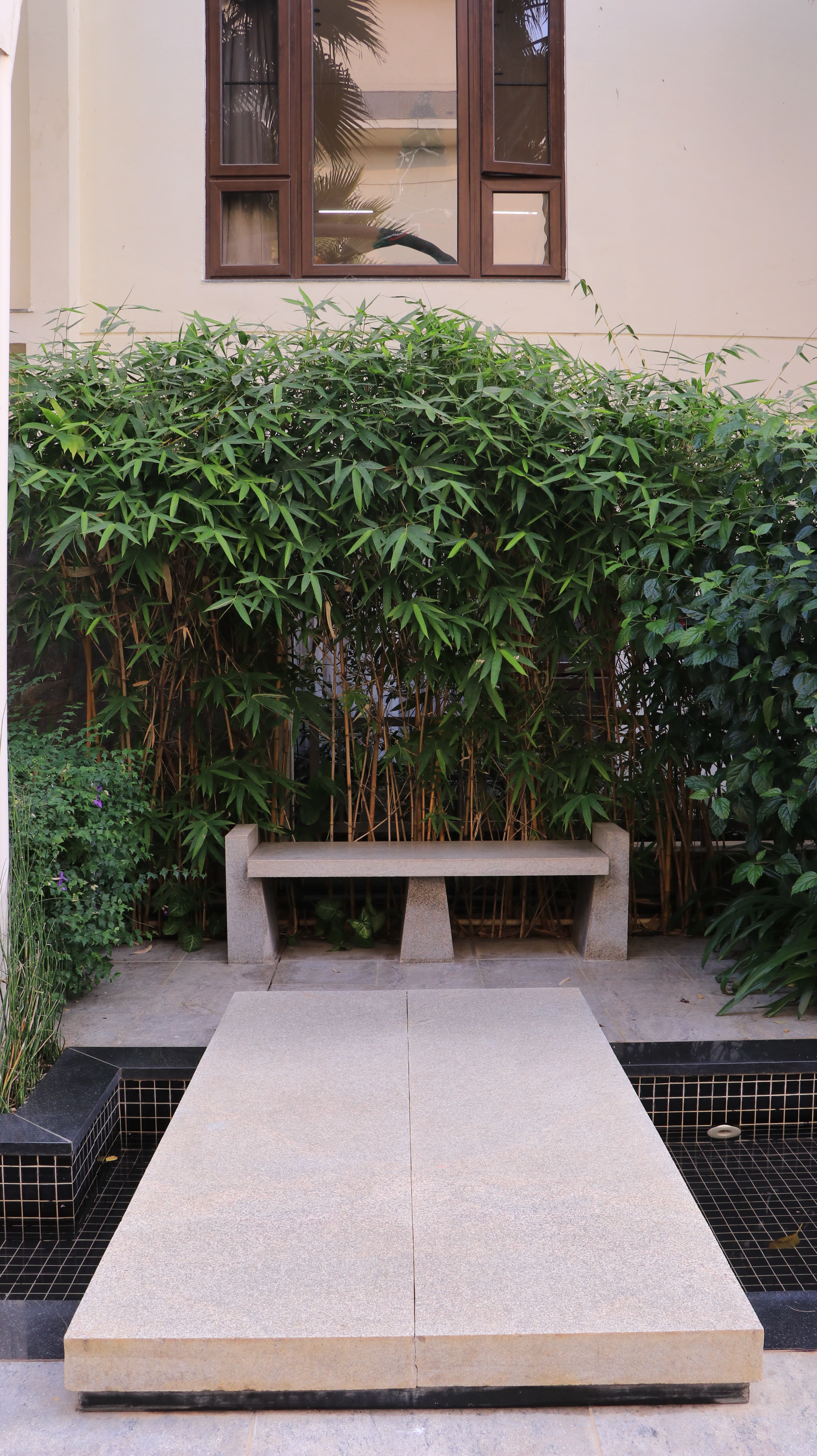 Fountain Area